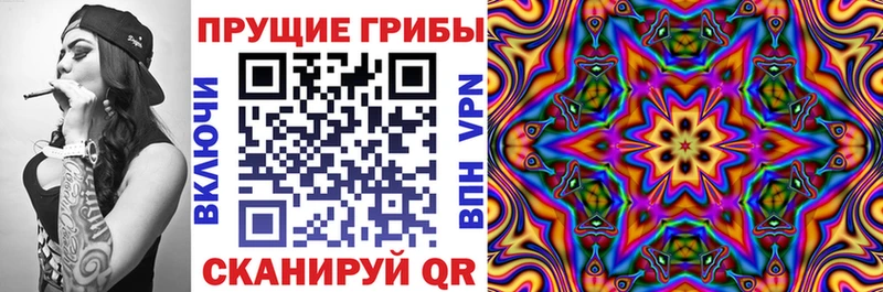 Галлюциногенные грибы Psilocybine cubensis  даркнет сайт  Каменск-Уральский 